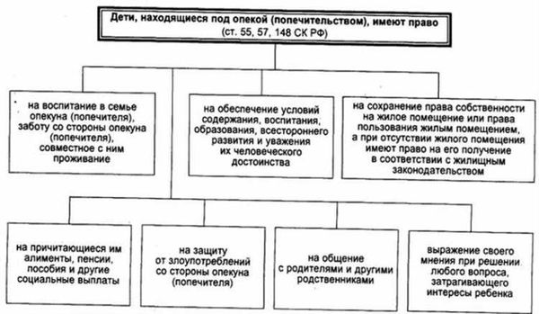 Чем занимается опека и попечительство?