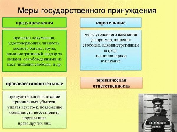 Виды юридической ответственности и принципы их применения