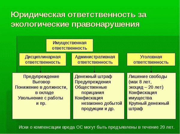 Роль экологических преступлений в современном мире