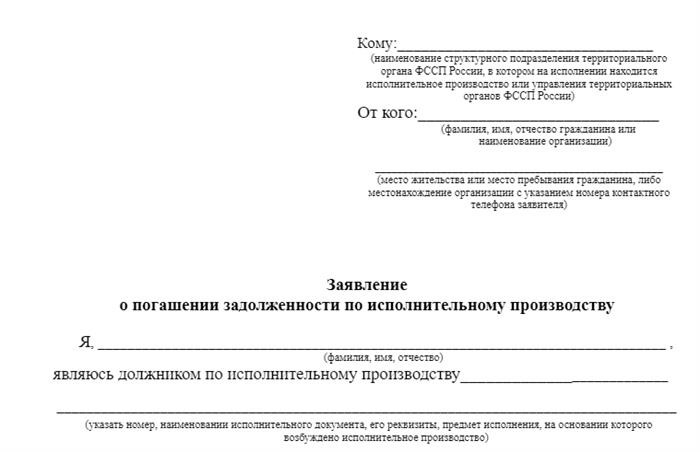 Примеры заявок на оплату долгов индивидуального предпринимателя