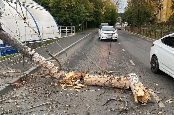 Телефон диспетчера в Иркутске