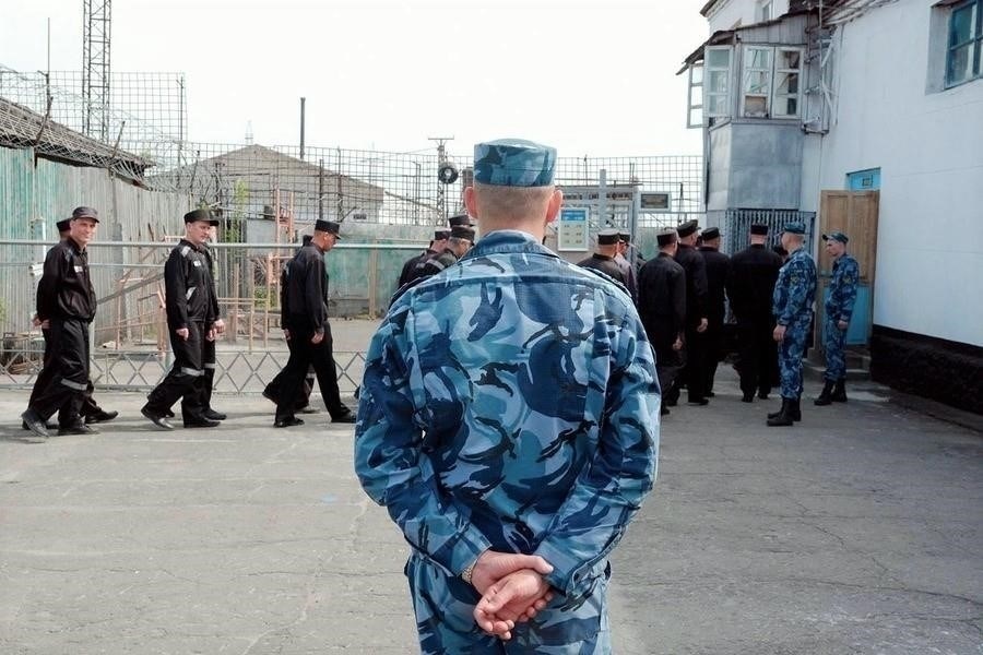 Чем новые колонии будут отличаться от стандартных