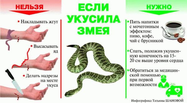 Первые действия при укусе собаки