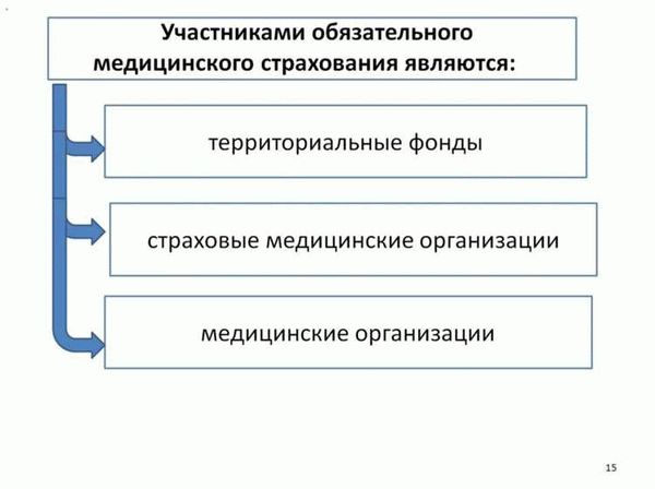 Что включает в себя процесс правовой экспертизы?