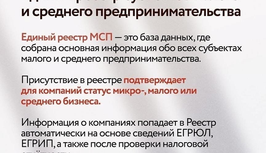 Доступ к данным из реестра МСП: Как получить необходимую информацию