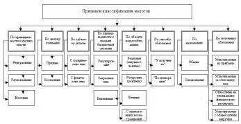 Региональные налоги: назначение и особенности