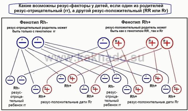 Происхождение 1 группы крови