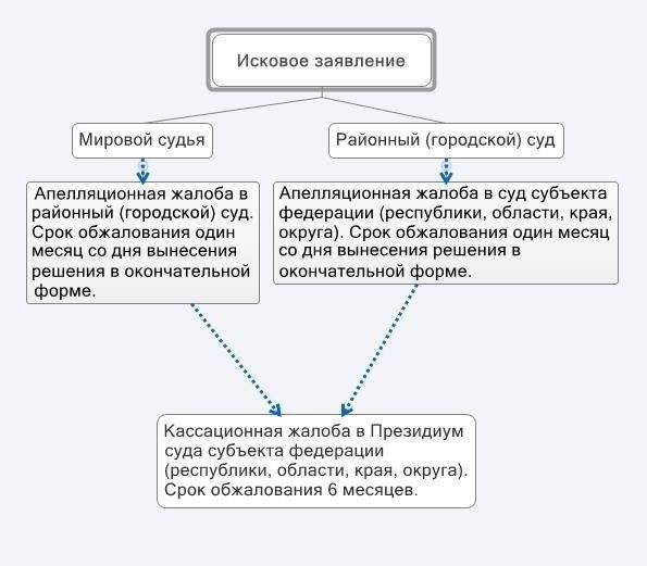 Юридические ресурсы: Понимание процесса подачи апелляционной жалобы