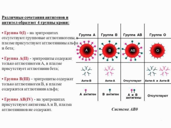 Особенности течения беременности при несовместимости по резус-фактору. Резус-конфликт