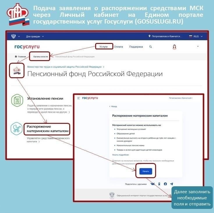 Как подать заявление на получение средств государственной поддержки в Воронежской области