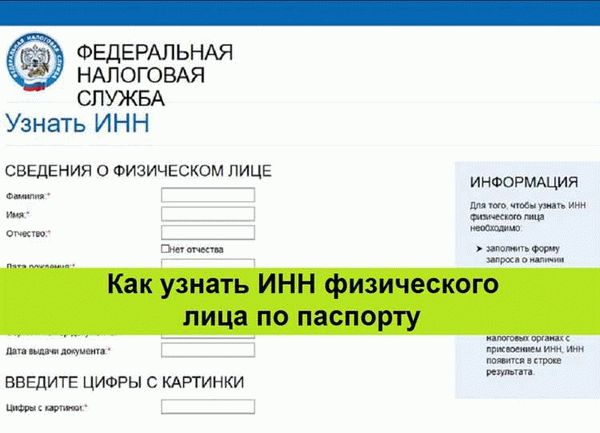 Поиск в базе ФНС: самый простой способ узнать ИНН