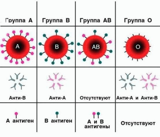 Распространение групп крови в мире