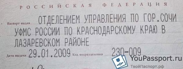 Другие организации: возможность получения паспорта не только в государственных органах