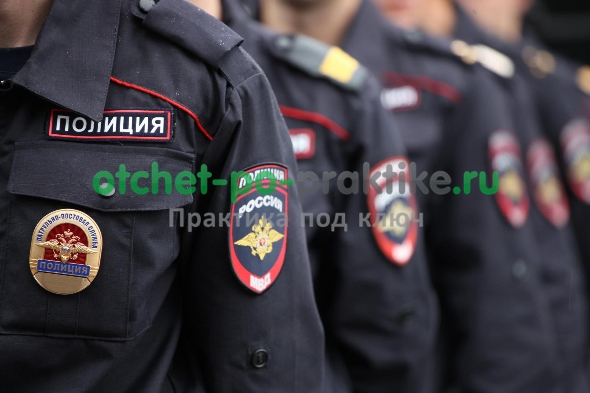 Ключевые компоненты отчета МВД: Что включить