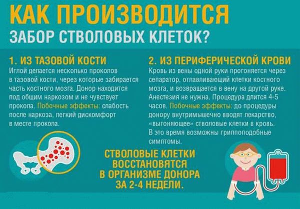 Что ждет донора крови?