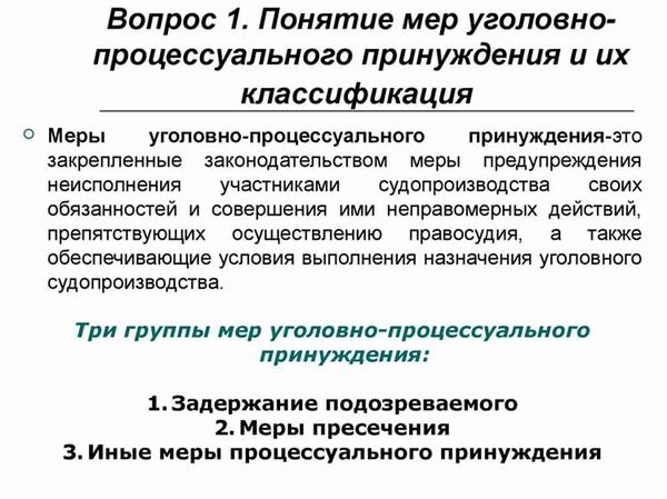 Виды мер уголовно-процессуального принуждения