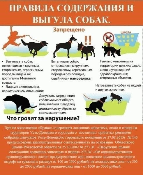 Наказания за нарушение правил выгула собак в жилых дворах: Меры и штрафы