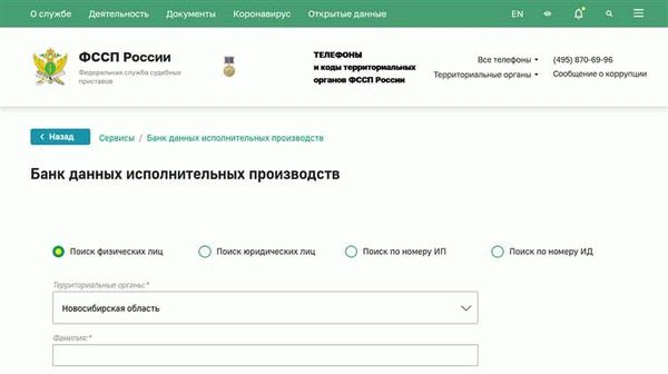 Бесплатная проверка долгов в Челябинске