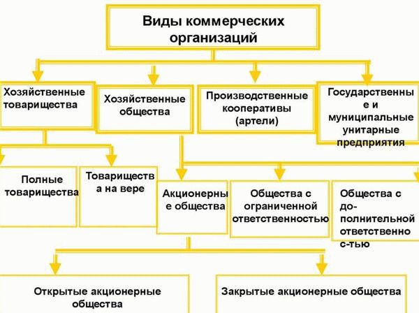 Экспертные комментарии организационно-правовой формы на портале Ближе к Делу