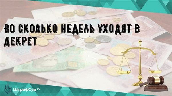 Необходимые документы для оформления декретного отпуска