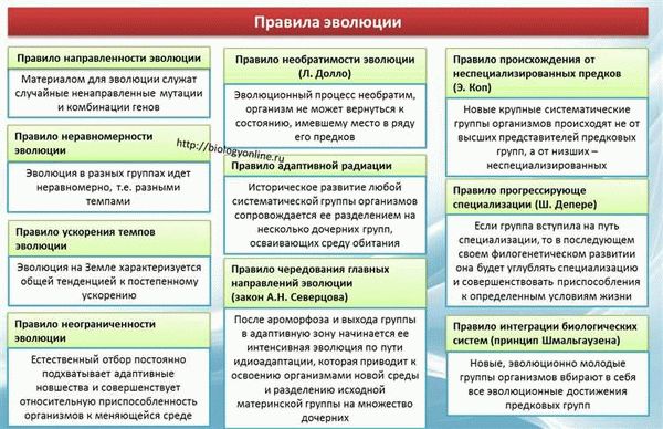 Какие существуют виды перекрестков?