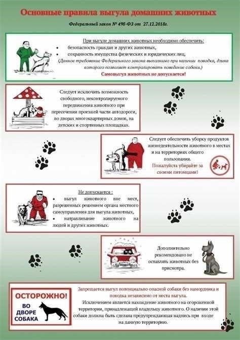 Почему выгул собак на жилой территории запрещен: Правила и рекомендации
