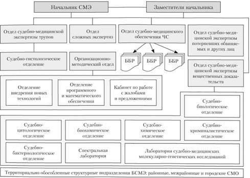 Понимание структуры программ обучения судебно-медицинской экспертизе