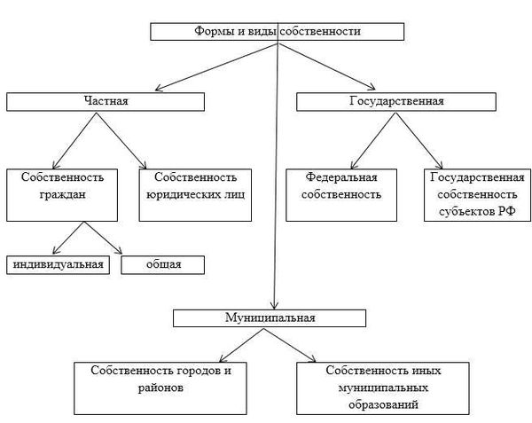 Понятие представительства, его признаки и характеристика