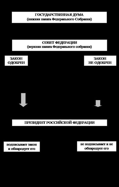 Обзор процесса принятия законов