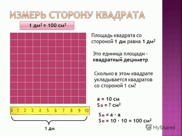 Интересные факты о гектарах