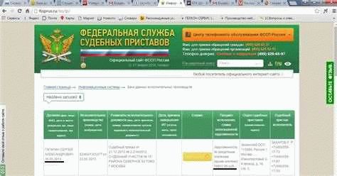 Узнайте о наличии долгов через интернет