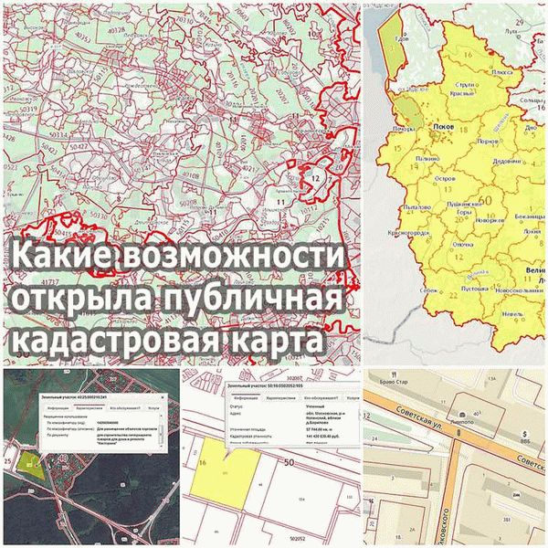 Публичная кадастровая карта Петрозаводска (Карелия) 2023: актуальнаяинформация и обновления