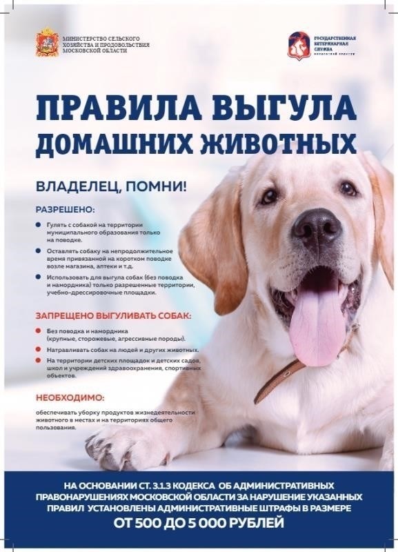 Роль намордников в выгуле собак: Что говорит закон?