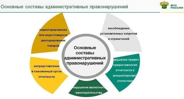 Сфера ответственности юридических лиц при проведении таможенных операций