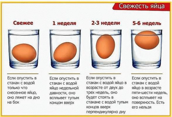 Мерная таблица для определения веса и размеров яиц