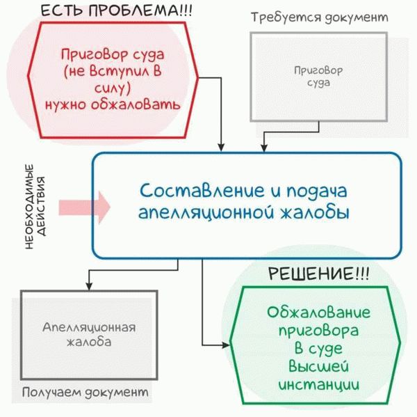 Что нужно учитывать при составлении апелляционной жалобы по гражданскому делу?