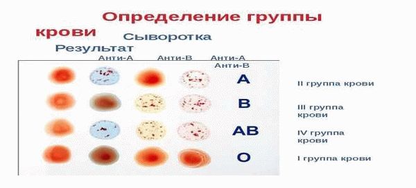 Совместимость групп крови