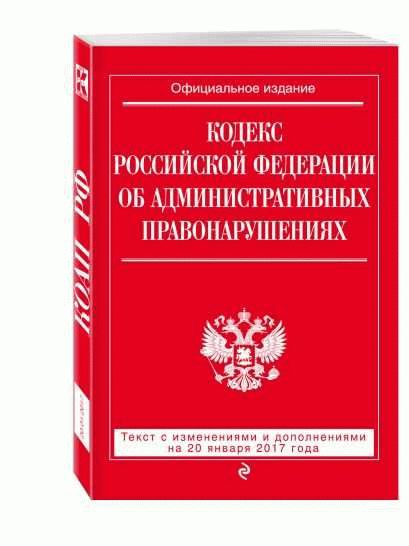 Изучение статьи 24 Уголовного кодекса РФ: основные положения