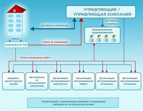 Права и обязанности членов ТСН и ведение бухгалтерии