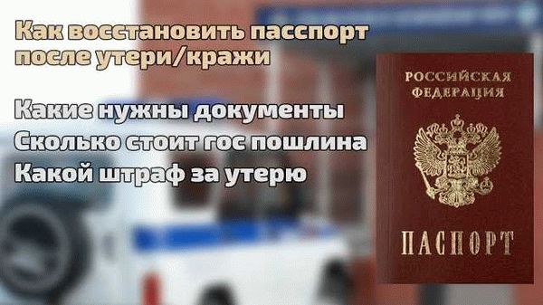 В чем разница между этими удостоверениями личности