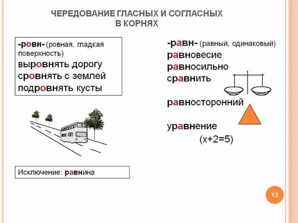 Сравнительный анализ практики состязательности и равновесия сторон в различных странах